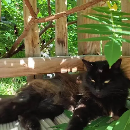 Gasthof La Du Bon Chemin ,spa Laval (Mayenne)