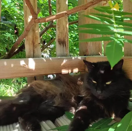 게스트하우스 La Du Bon Chemin ,spa 라발