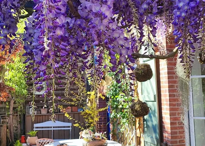 La Du Bon Chemin ,spa 게스트하우스 라발